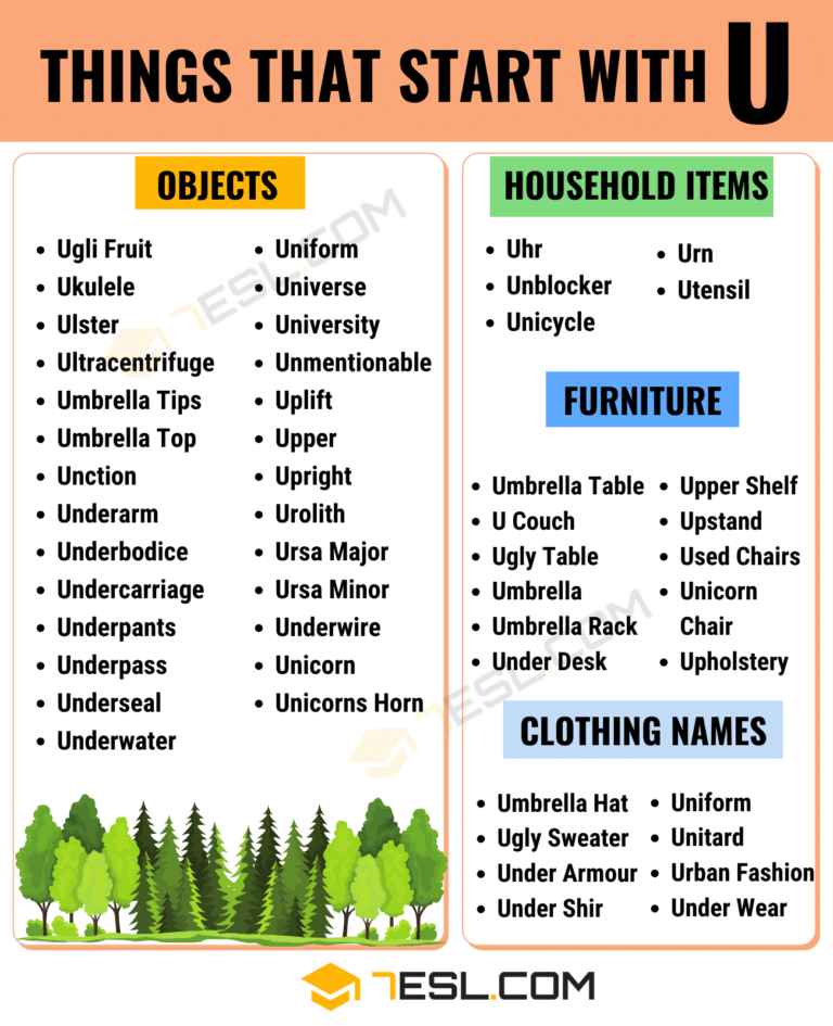 41 Things that Start with U in English • 7ESL