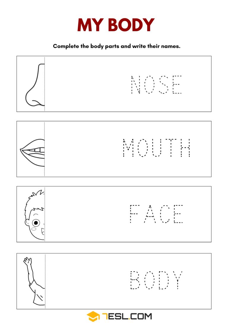 Free Parts of the Body Worksheets for Kids (PDF) • 7ESL