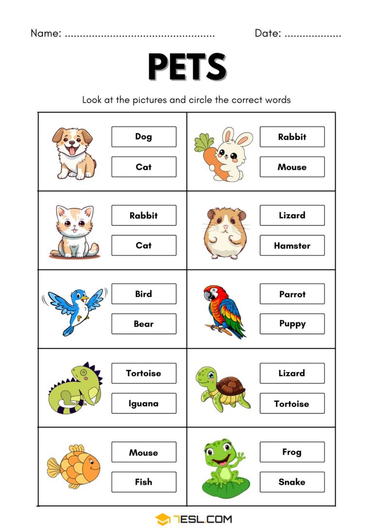 Pets Worksheet.pdf Free Pet Animals Worksheets for Kids (Printable PDF) • 7ESL
