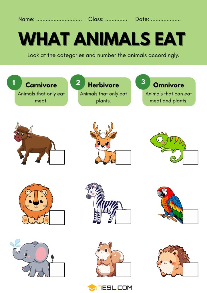 Free Animals Worksheets for Exploring the Animal Kingdom (With PDF) • 7ESL