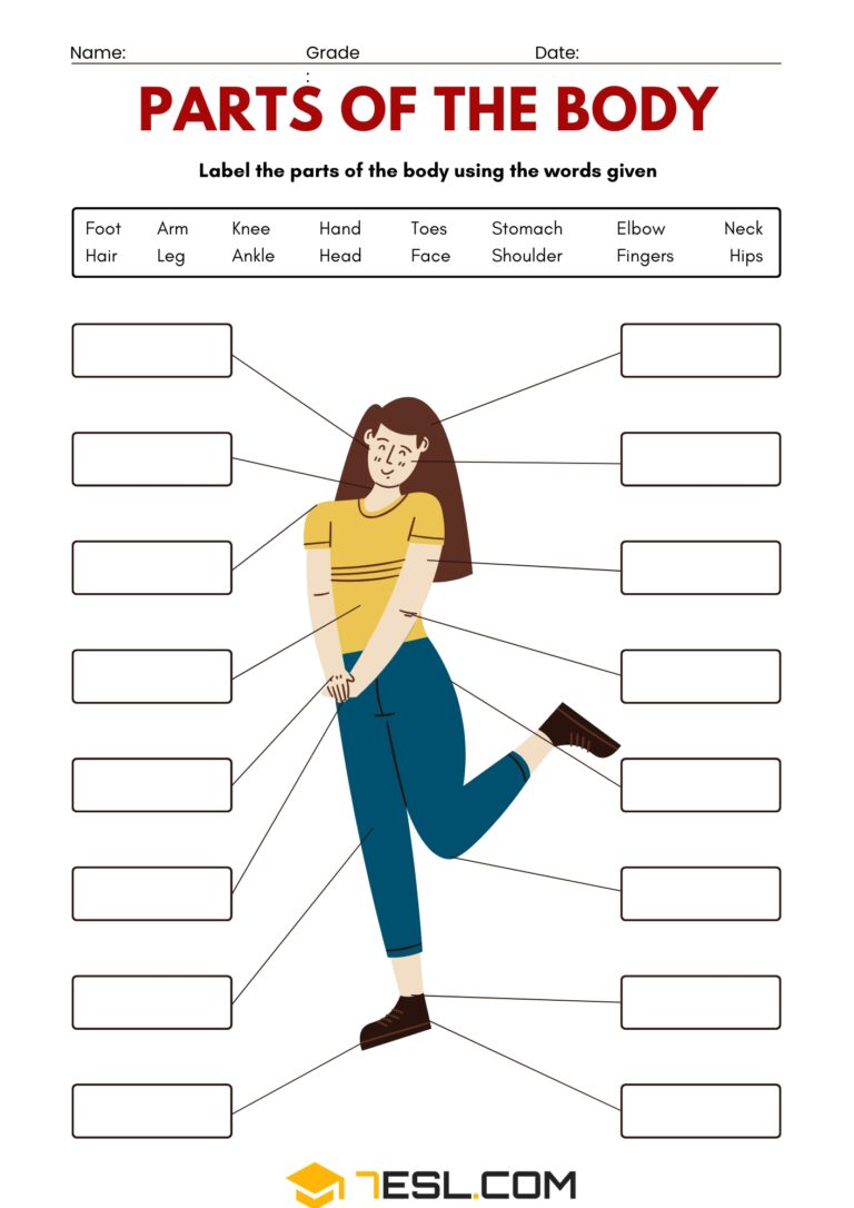 Body Parts Fill In Free Parts of the Body Worksheets for Kids (PDF) • 7ESL