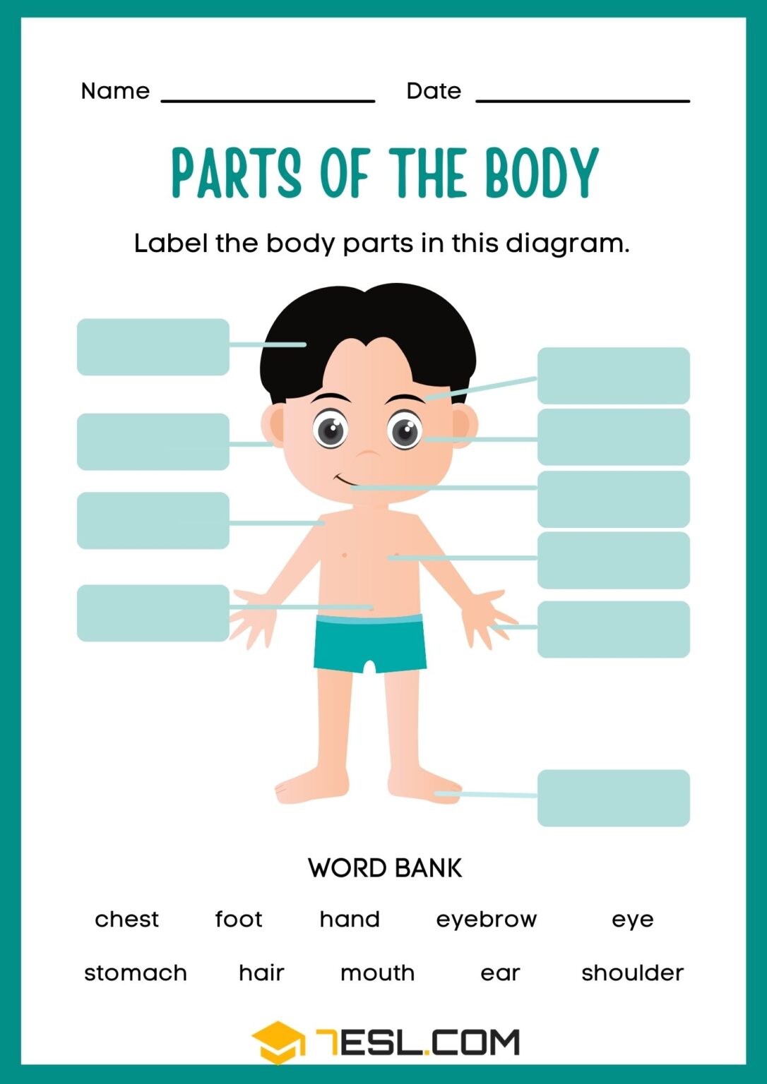 Printable Parts of the Body Worksheets for Early Learners • 7ESL