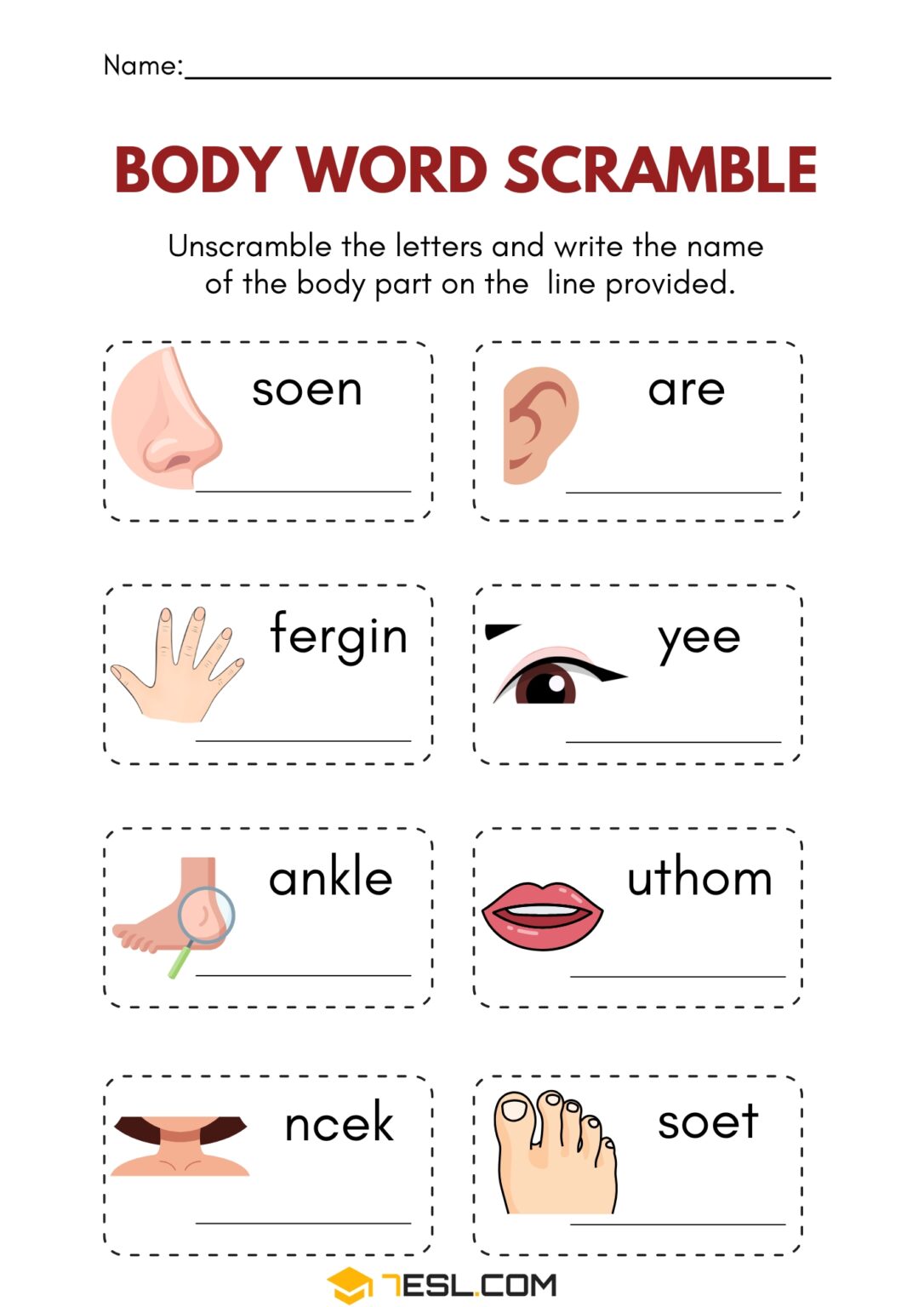 Free Parts of the Body Worksheets for Kids (PDF) • 7ESL