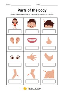 Printable Parts of the Body Worksheets for Early Learners • 7ESL